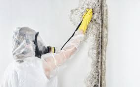 Best Air Quality Testing for Mold Spores  in White Hall, IL